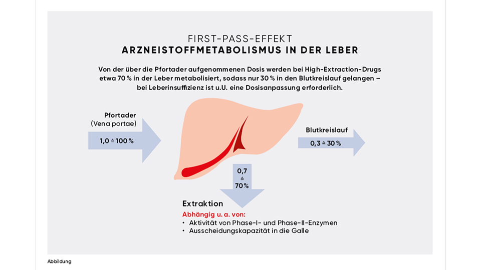 Abbildung © beigestellt