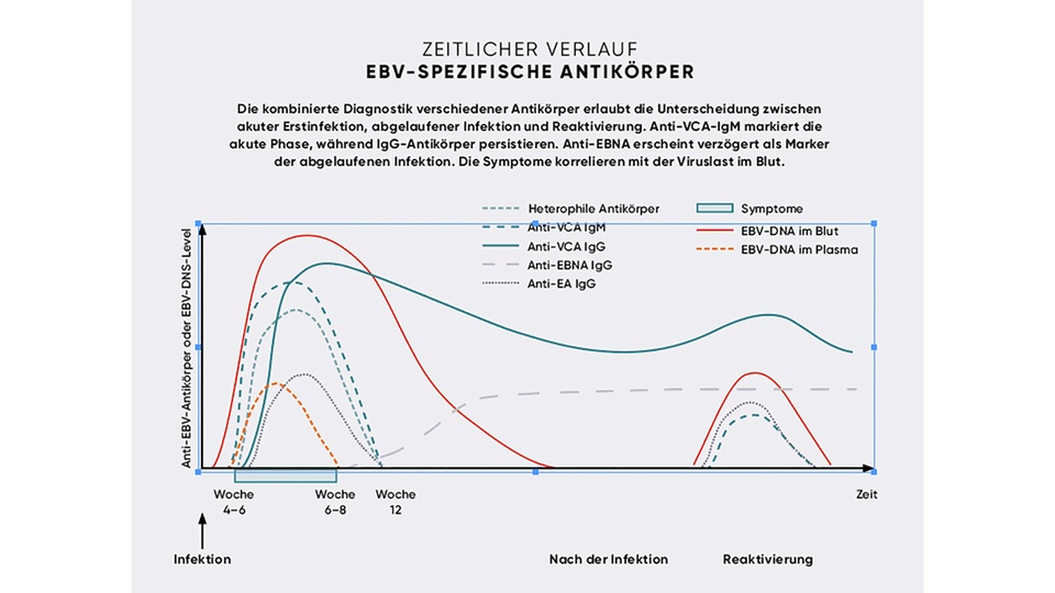 EBV © APOVERLAG