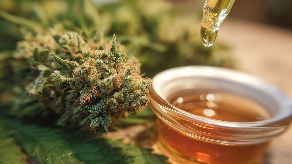 AdobeStock &copy; AdobeStock