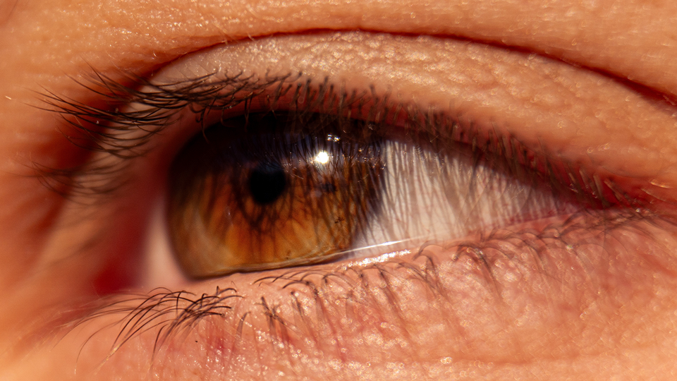 Shutterstock &copy; Shutterstock