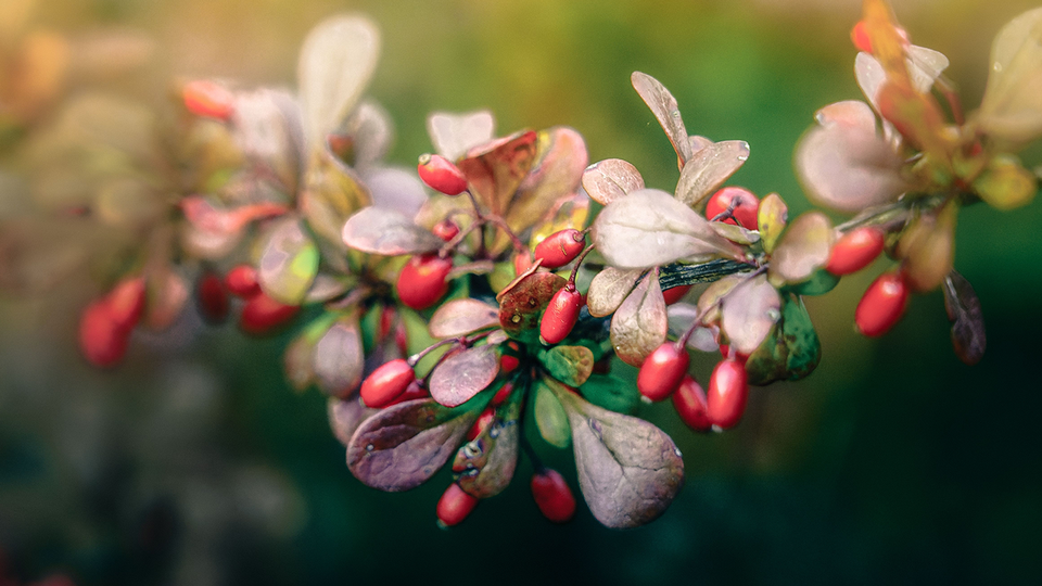 Shutterstock &copy; Shutterstock