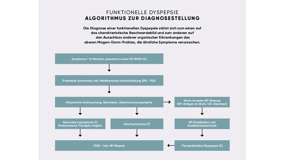 Dyspepesie &copy; APOVERLAG
