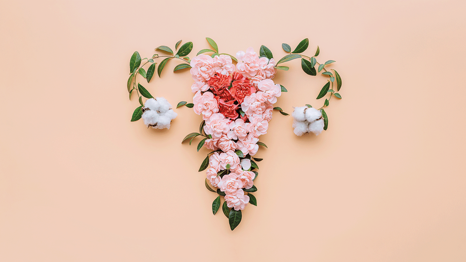 Shutterstock &copy; Shutterstock