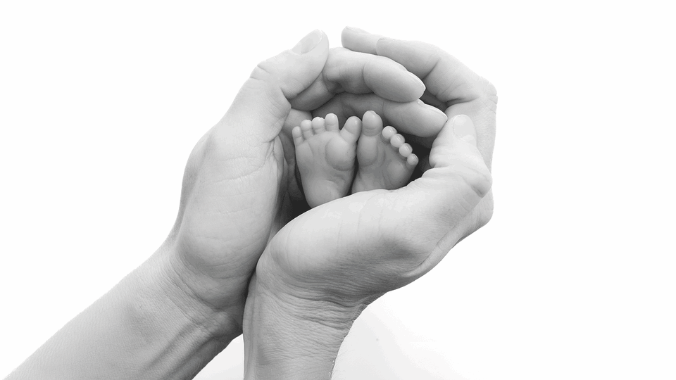 Shutterstock &copy; Shutterstock