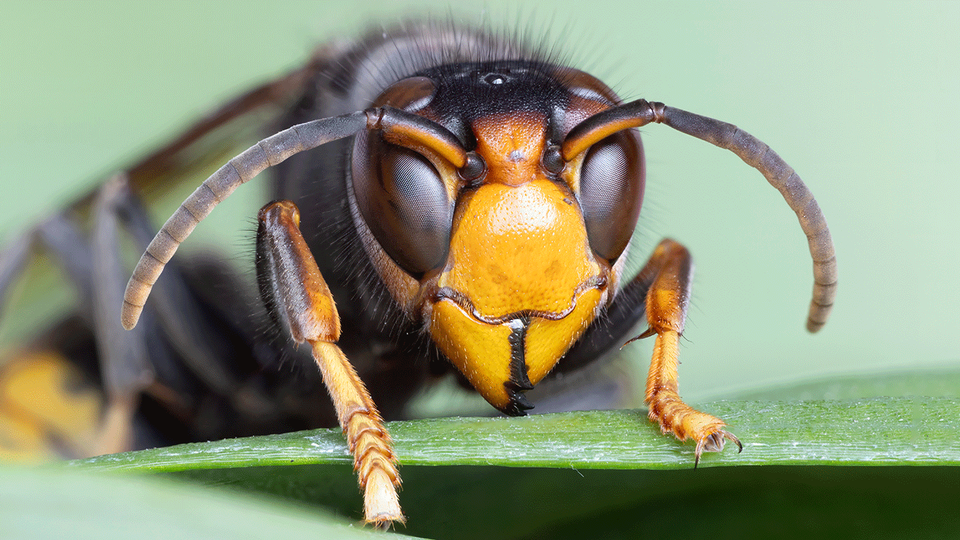 Shutterstock &copy; Shutterstock