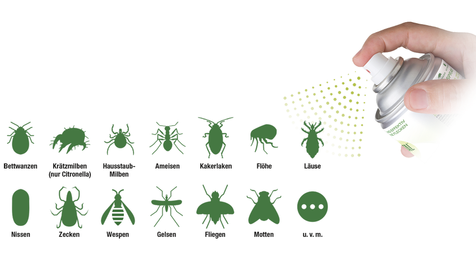 © Pistal® Insekten mit Spray © Pistal®