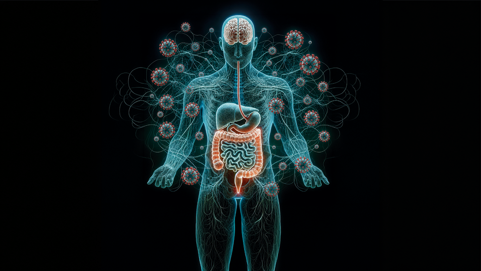 Shutterstock &copy; Shutterstock