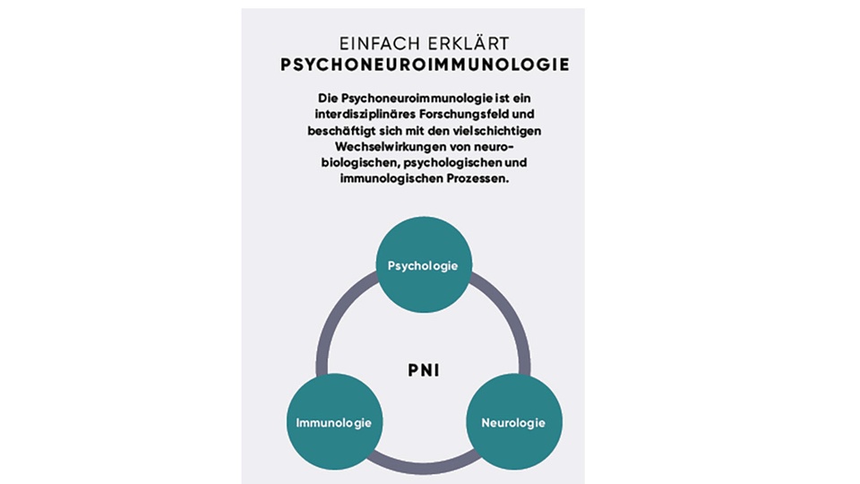 © APOVERLAG Abbildung © APOVERLAG