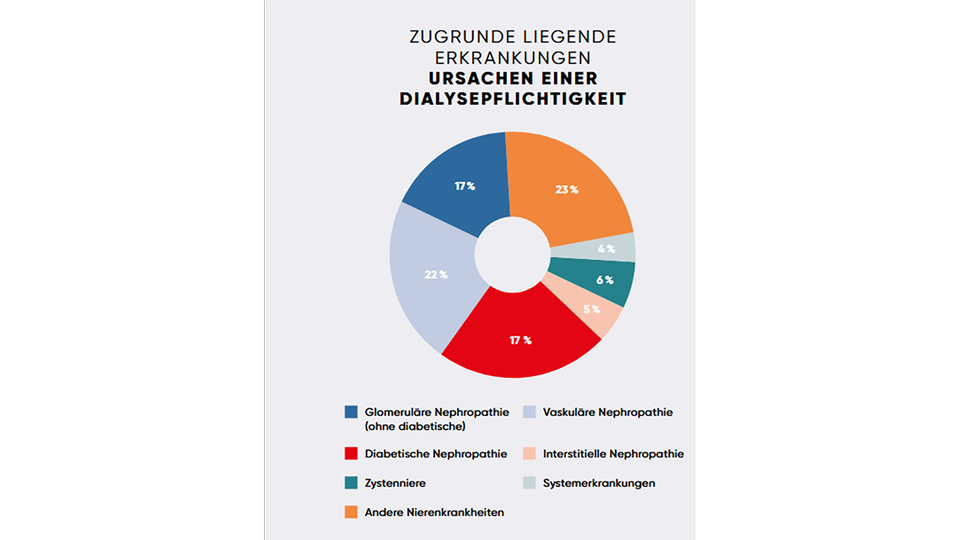 adaptiert nach S3-Leitlinie: Versorgung von Patient:innen mit chronischer, nicht-Nierenersatz-Therapiepflichtiger Nierenkrankheit4 © APOVERLAG