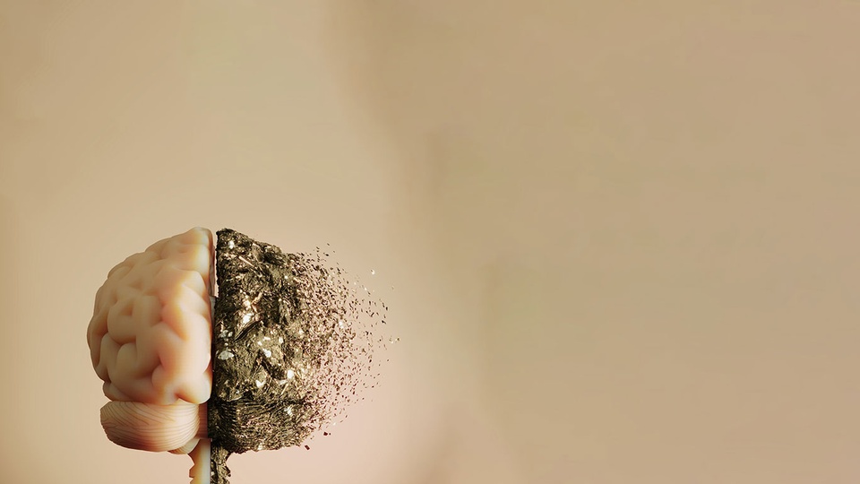 Gehirn &copy; iStock