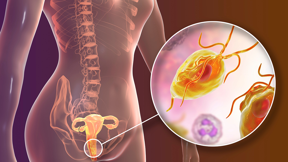 Animation &copy; shutterstock