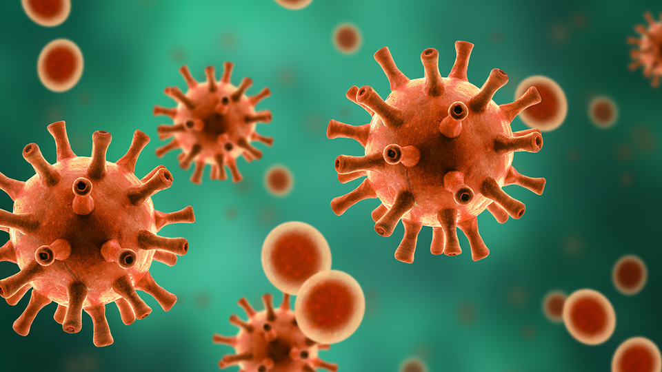 © Shutterstock Coronavirus © Shutterstock