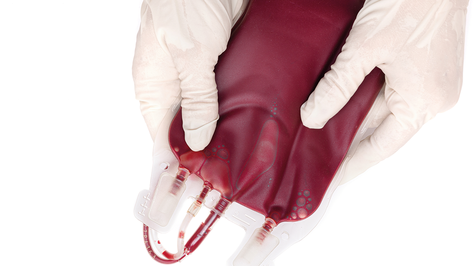 Blut © Shutterstock