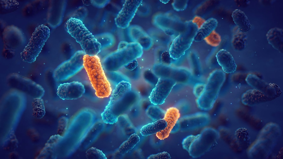 Antibiotikaresistenz  © Shutterstock
