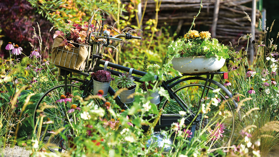 Beim Gesundheitstag der Apotheker:innen standen die Themen Gesundheitsvorsorge und Heilpflanzen im Mittelpunkt. © Shutterstock