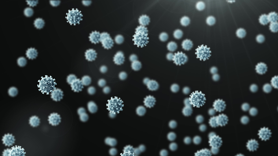 shutterstock &copy; shutterstock