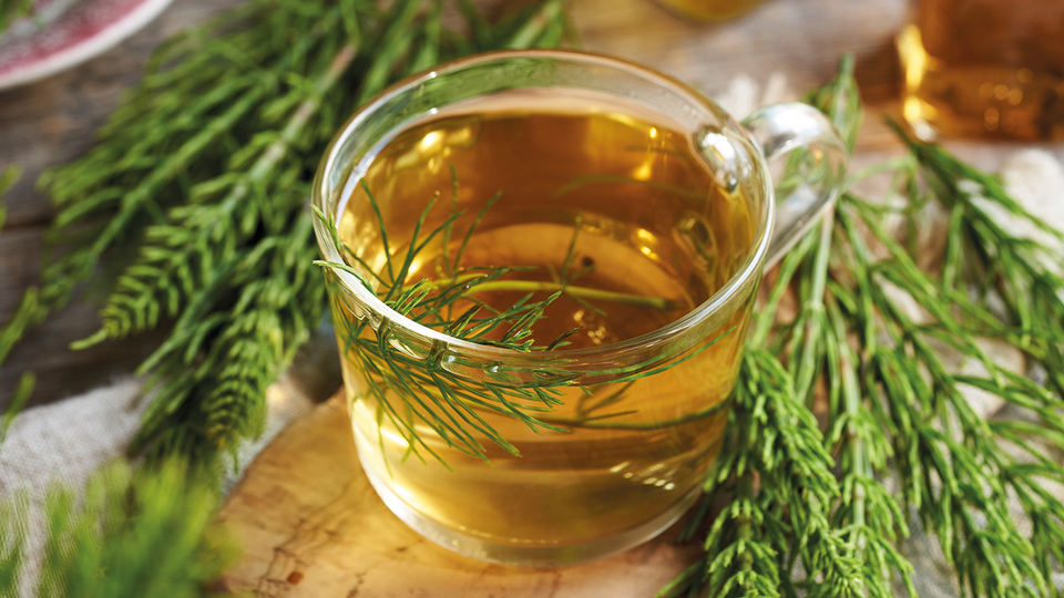 © Shutterstock Viel trinken – täglich mindestens zwei Liter – ist bei einer Durchspülungstherapie mit Aquaretika nötig. Bei Ödemen infolge eingeschränkter Herz- oder Nieren- funktion ist allerdings Vorsicht geboten: Hier sind Aquaretika kontraindiziert. © Shutterstock