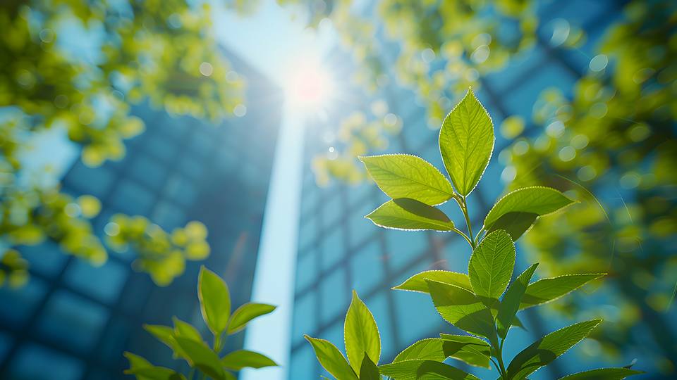 © Shutterstock Klimaaktiv Gold © Shutterstock