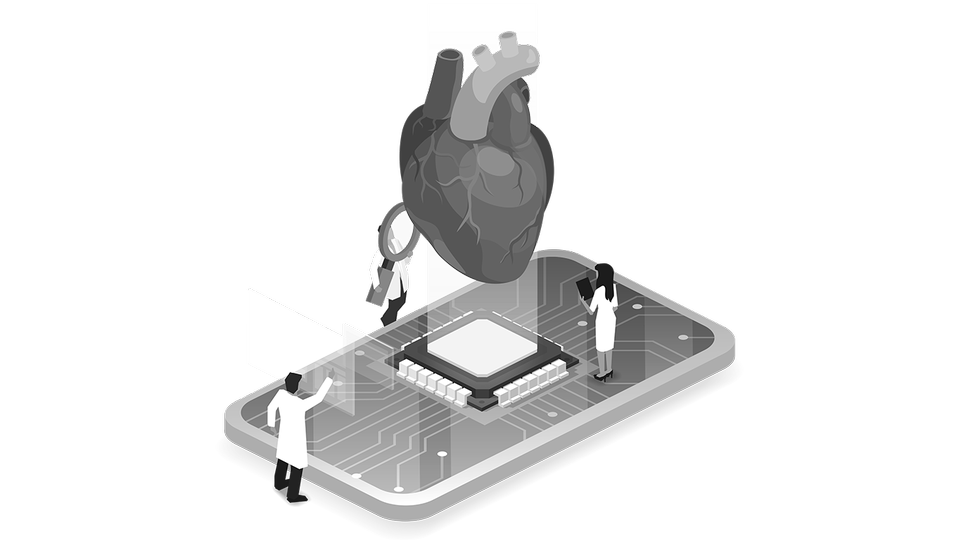 Herz &copy; Shutterstock