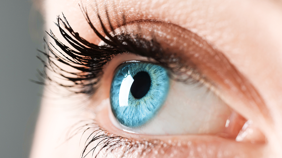 Auge © Shutterstock