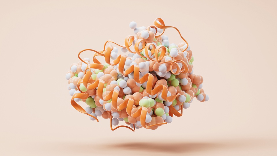Proteinstruktur © Shutterstock