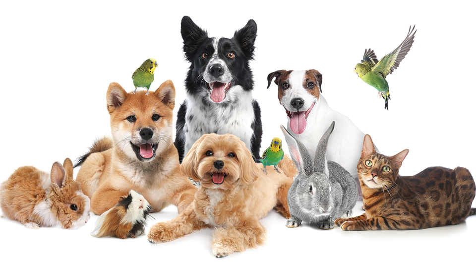 Shutterstock &copy; Shutterstock