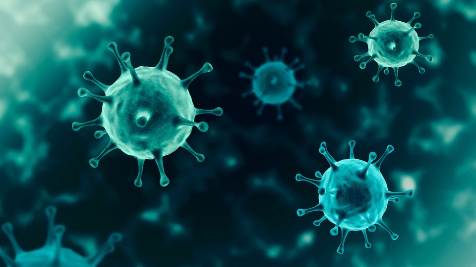 Corona-Virus © Shutterstock