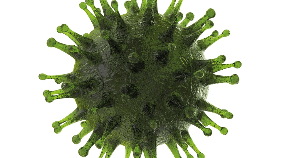 Corona-Virus © Shutterstock