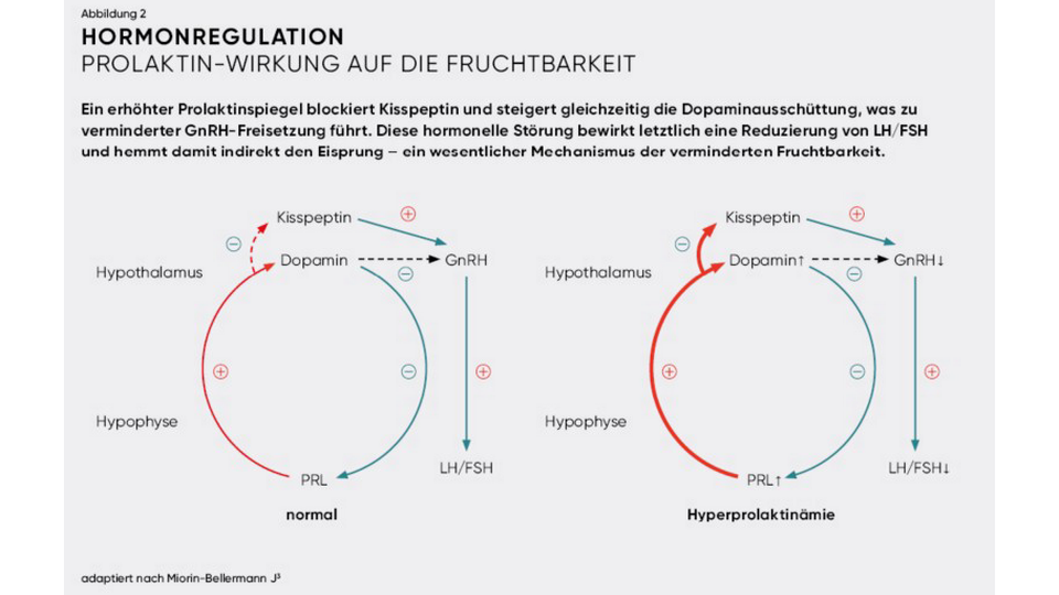 APOVERLAG &copy; APOVERLAG