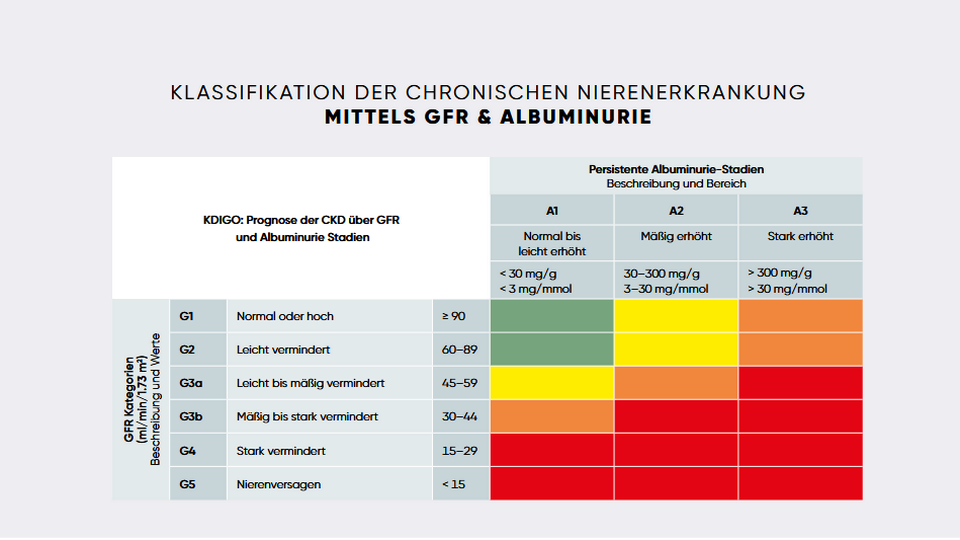 Abbildung 2, adaptiert nach S3-Leitlinie: Versorgung von Patient:innen mit chronischer, nicht-Nierenersatz-Therapiepflichtiger Nierenkrankheit4 © APOVERLAG
